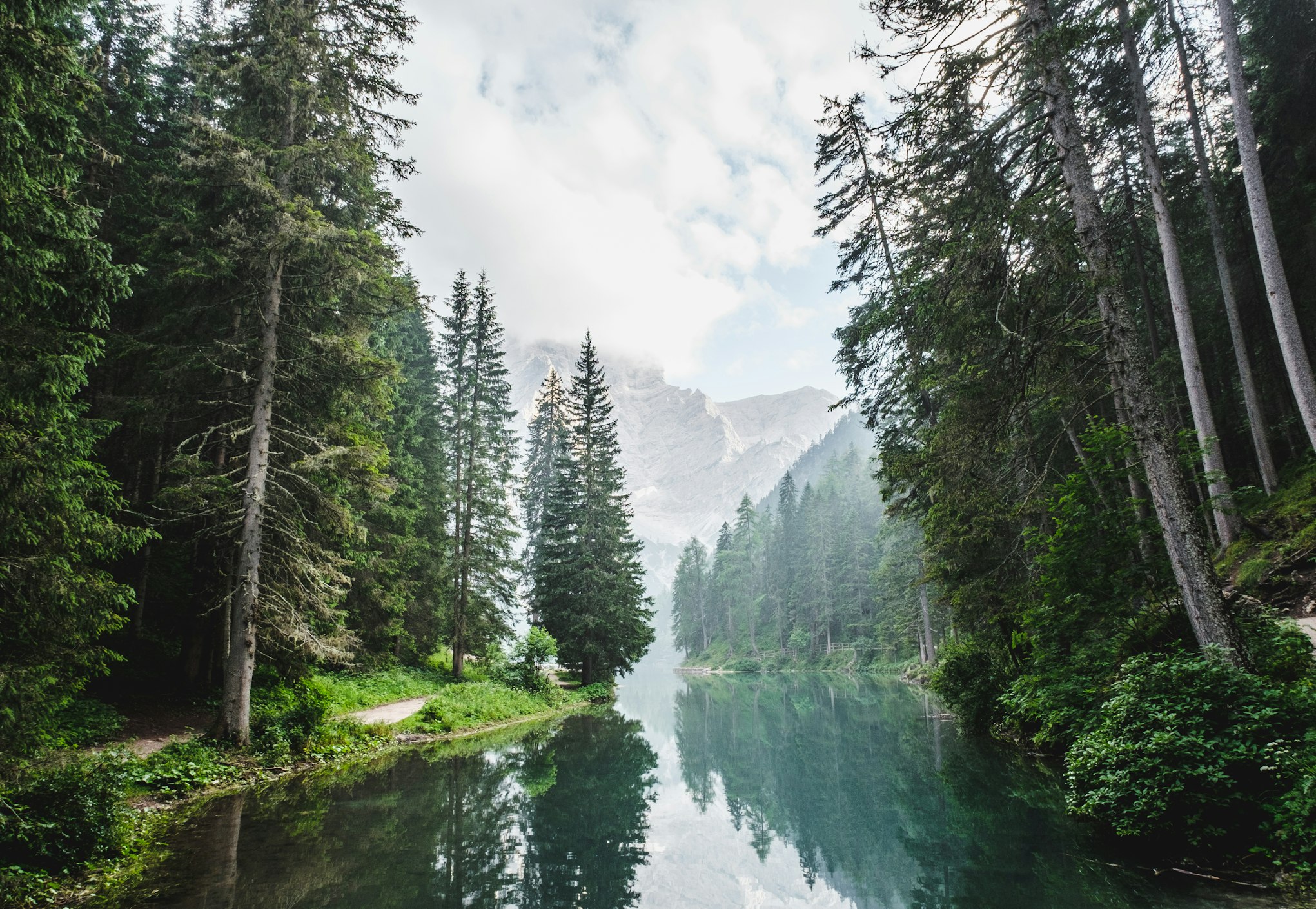 Sustainability Background